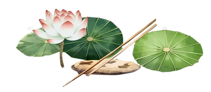 叶子图片,夏至元素,中国风PNG,元素免抠素材